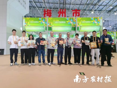 智創未來，AI賦能 蕉嶺毛竹品牌煥新，實業公司引領產業升級