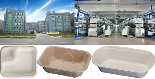 從植物纖維到環保餐桌 實業公司在packcon展區引領餐包新風尚